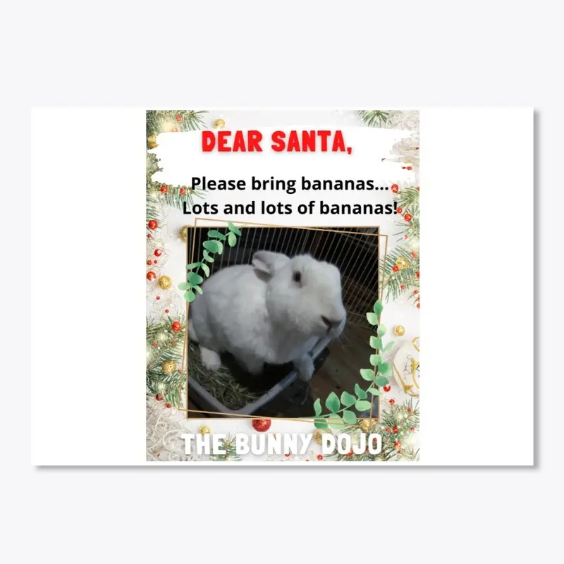 Christmas Dear Santa